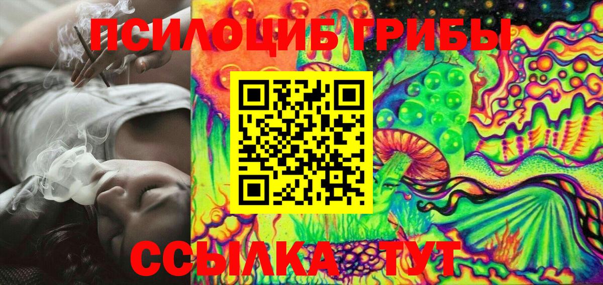 Галлюциногенные грибы Psilocybine cubensis Верхняя Салда